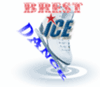 Skaters Brestchiny